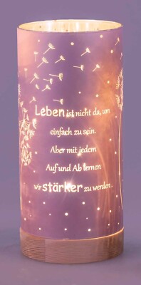 Deko-Licht LED pink 20 cm Motiv Pusteblume - Leben ist nicht einfach