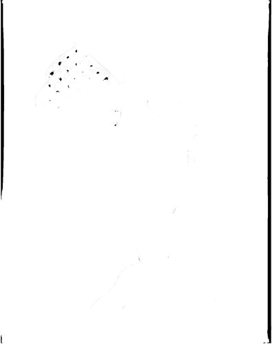 Adesivo Per Auto, Finestrino, Paraurti, Senza Sfondo, Con