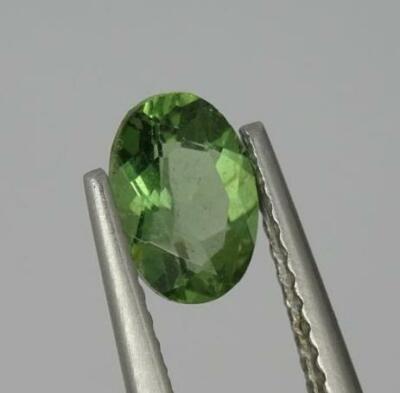 Natural Loose Oval Cut Green Apatite x