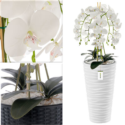 herbstdeko für den balkon Herbst-Deko mit Heide Massivholztisch HEDDA ausziehbar Wildeiche