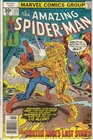 The Amazing Spider-Man #173 Marvel Comics F