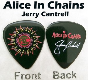 Alice in Chains Guitar Pick | eBay