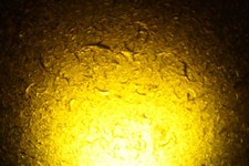 Black Sea Glass - 77g RAREST OLDEST Pirate 1800s Key West, Florida, USA nnn2