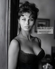 SOPHIA LOREN LEGENDARY ACTRESS - 8X10 PUBLICITY PHOTO (SP-516)