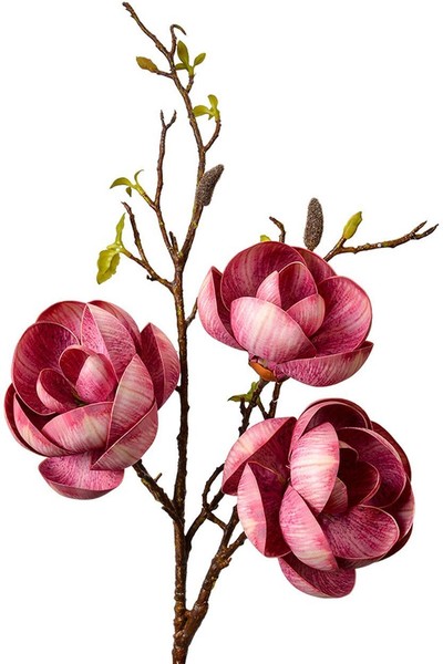 Clayre & Eef 5PL0169PA Dekozweig Rosa Braun 20X20X106 Cm Kunststoff-image