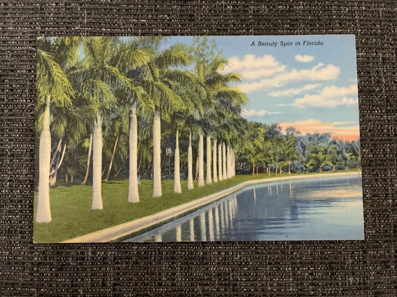 Linen Postcard Miami, Florida~ A Beauty Spot In Florida Palms Along The Coast