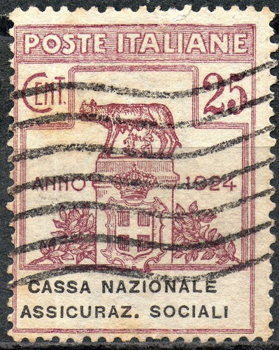 1924- Regno Enti Parastatali - 25c Cassa Nazionale Assicurazioni Sociali