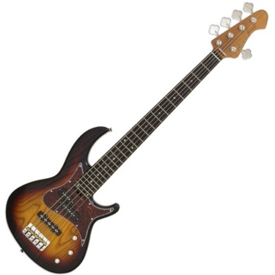 Aria Pro-II Hot Rod Collection 313-MK2/5 OPSB 5-String E-Bassgitarre | Neu