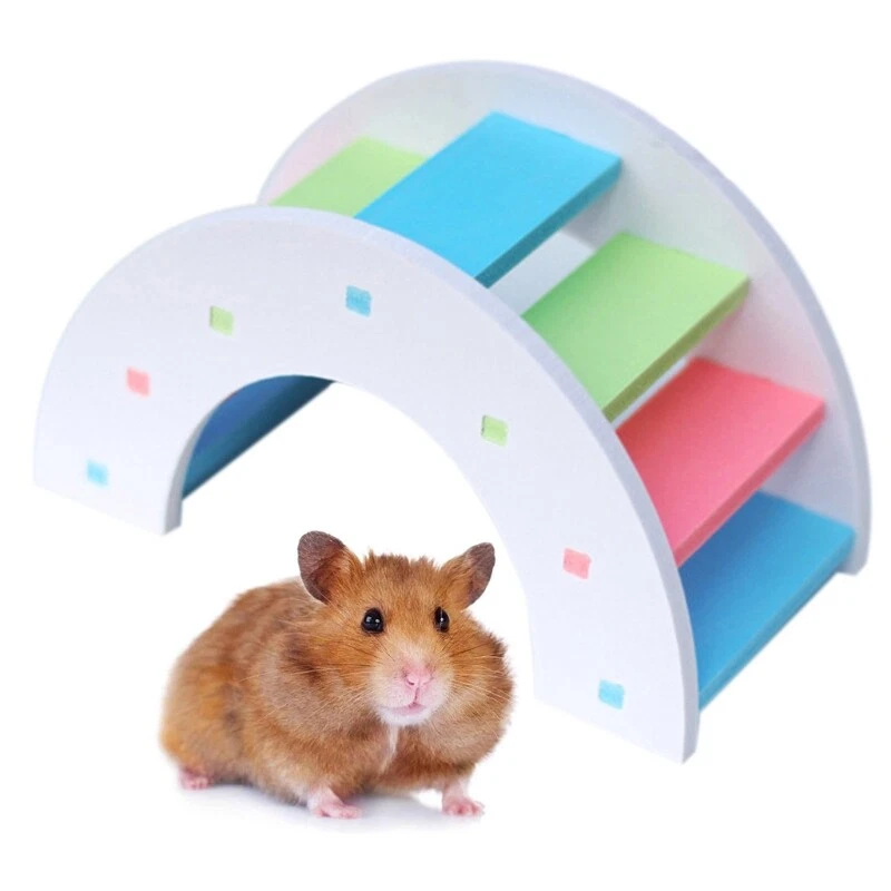 Hamster activity clearance cage