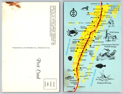 Eastern Shore Map Wild Ponies Chincoteague Assateague Virginia VA Postcard