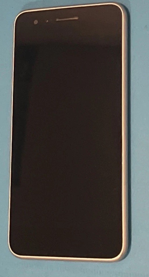 Picture 4