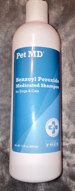 best dog shampoo 2019