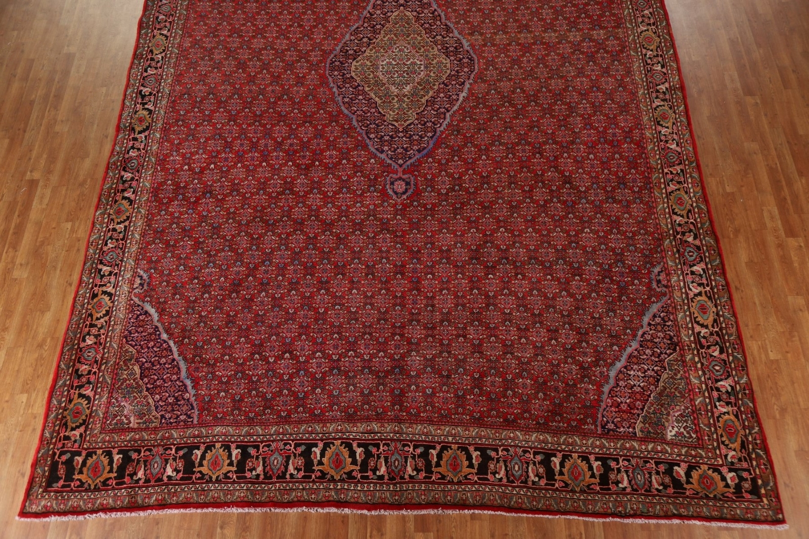 Picture 5 of 12