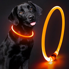 Lighted Dog Collar - Waterproof Puppy Collar Light Rechargeable, High Visibility
