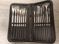 SET of 16 Nylon Hair Oil Brush, Watercolor Brush for Kids and Adults