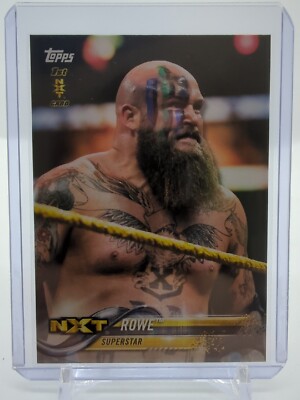 Eric Rowe 2018 Topps WWE Then Now Forever 1st NXT Card #166 Erik Viking Raiders