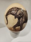 Hand Carved Ostrich Egg With South African Elephant Signed By Artist 