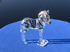 2021 Swarovski SCS AE Figurine ZEBRA BABY  (SIGNED) #5600649 NIB!
