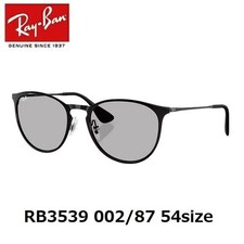 Ray-Ban RB3539 Erika Metal Gray Lens Sunglasses 54mm