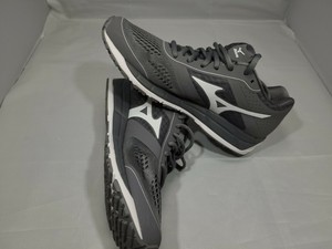 mizuno synchro mx s