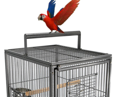Portable Travel Bird Carrier Cage For Parrots - 19"x15"x25", Heavy Duty Wrought Iron, With Bowls & Play Perch