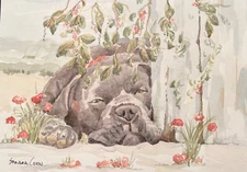 Boerboel Original Watercolor by Sandra Coen