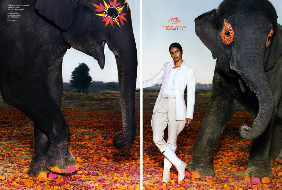 2008 Hermes Orange Lakshmi Menon Indian Pink elephant 3-page