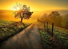 Ravensburger Puzzle Landschaft Morgensonne Erwachsenenpuzzle Farbenfroh 1000
