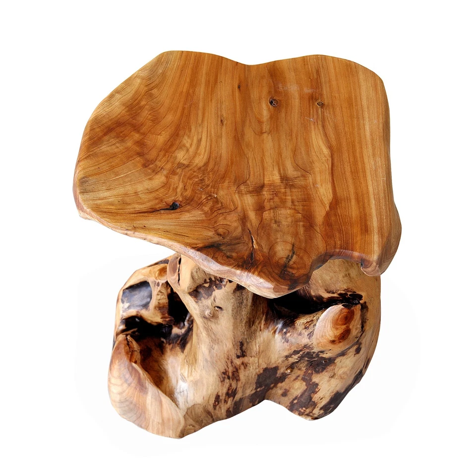 Greenage Live Edge Cedar Stool, 19.5"H Tree Stump Side Table, Rustic Plant Stand - Image 4 of 4