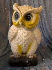Vintage Blow Mold Plastic Owl Bank 10" Blow Mold Coin Bank