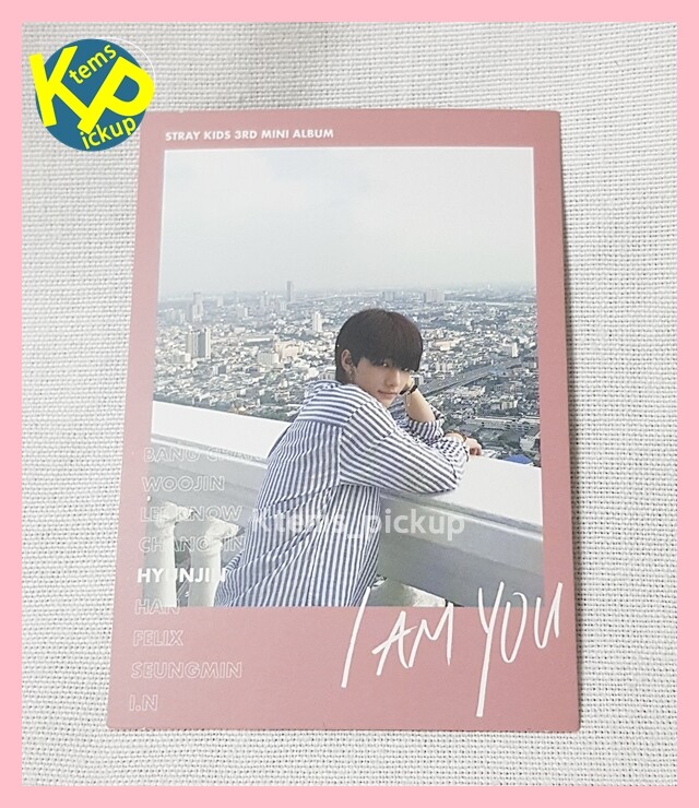 Stray Kids I Am YOU album official Photocard Pink Polaroid