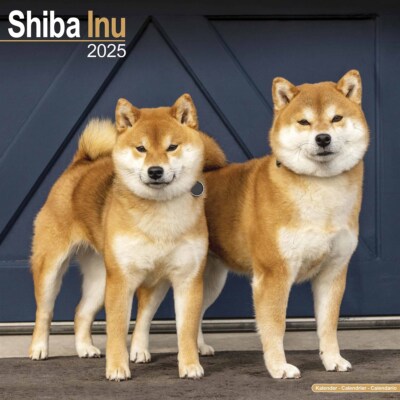HOT Puppy What Does Shiba Inu Mean Japan Mean Shiba Inu - Main Image