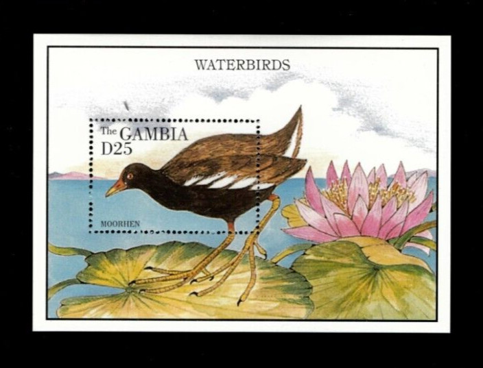 VINTAGE CLASSICS - Gambia 1995 - Birds - Souvenir Stamp sheet - Scott 1619 - MNH