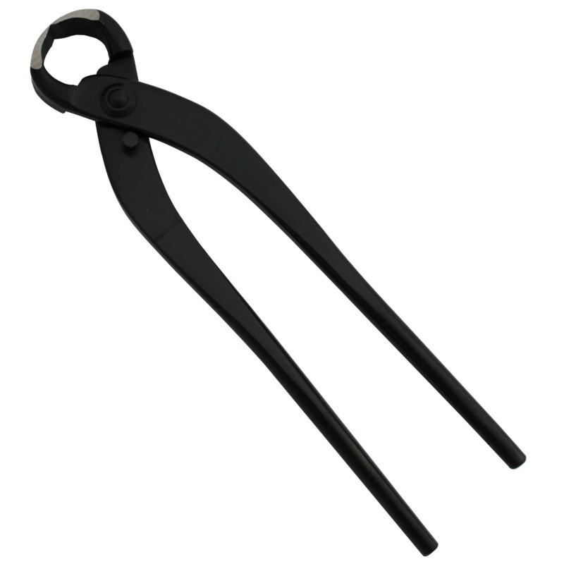 Pinza per Radici Bonsai Giapponese 21 cm - Opinione dell'Esperto