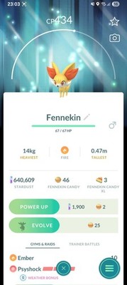Fennekin Pokemon mit Special Kalos Blue Back