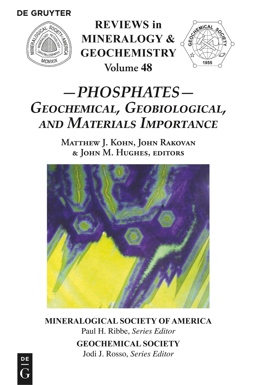 Thumbnail - Phosphates | Matthew J. Kohn (u. A.) | Taschenbuch | Issn | Paperback