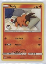 Tepig