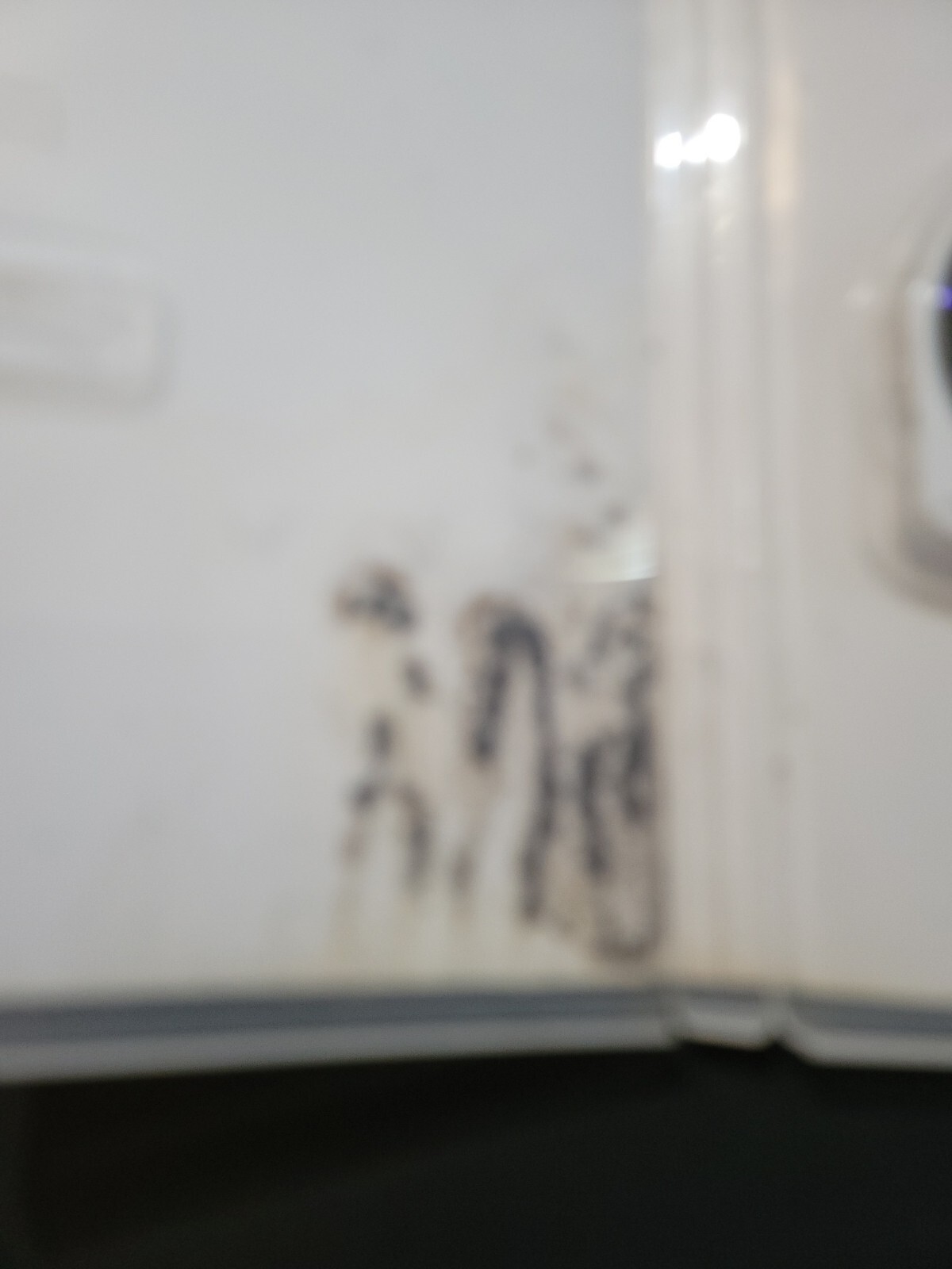 Picture 5 of 12