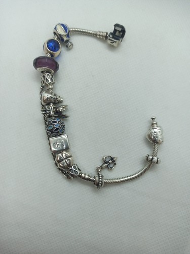 Bracciale Pandora Completo Di 13 Charms - Foto 12 di 14