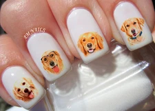 Golden Retriever Nail Art Stickers Transfers Decals Set of 60 - A1292