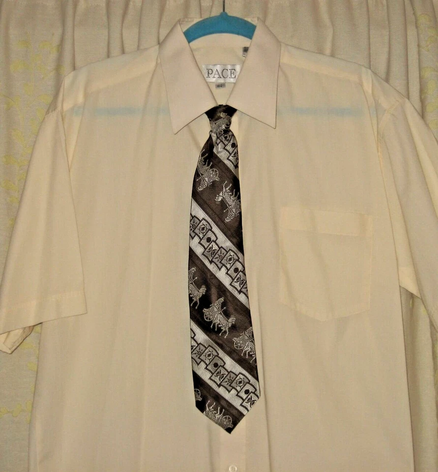 Charlie Kelly Pájaro Abogado Personalizado Halloween Disfraz Juegos con disfraces Camisa Corbata IASIP LRG Foto 2 de 4