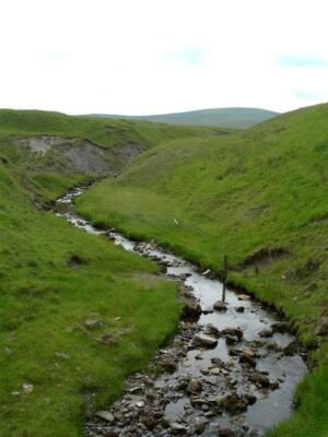 Photo 6x4 The West Burn Glenbuck/NS7429 The West Burn joins the River Ay c2007