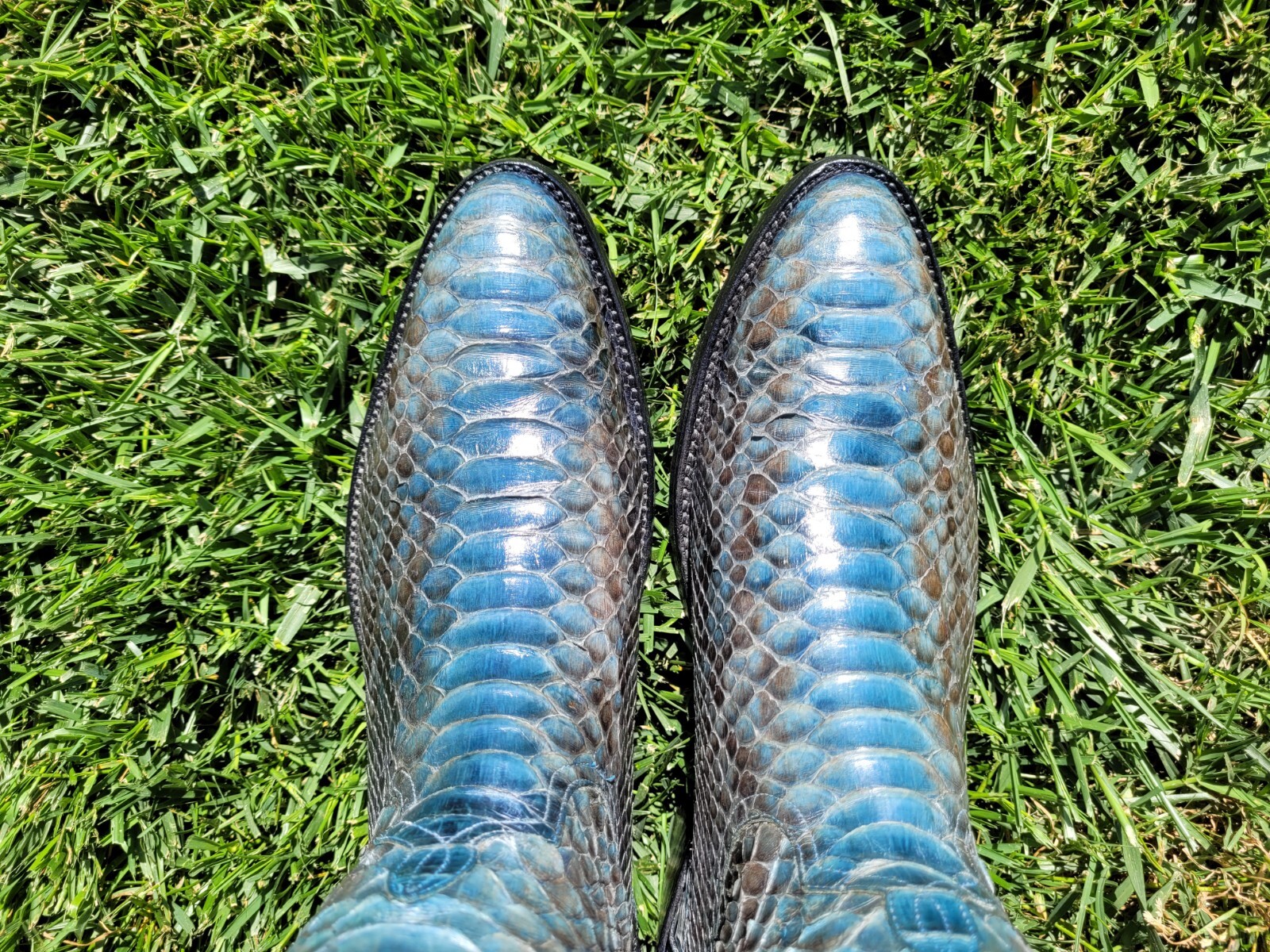 10.5 D ⭐ ANDERSON BEAN ⭐ BLUE ⭐ PYTHON ⭐ SNAKE ⭐ … - image 5