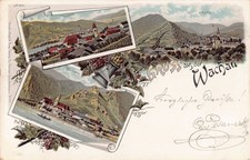 Wachau 1900 Dürnstein Spitz Rossatz-Arnsdorf Donau Burgruine Weinberge Lese AK