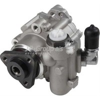 JP Group Servopumpe Hydraulikpumpe Passend FüR Audi A6 Allroad 4FH C6 4F5 4F2