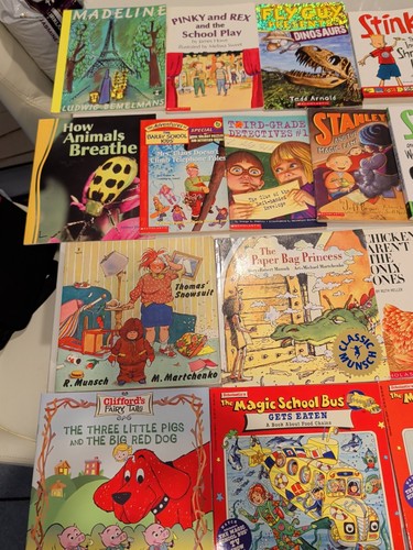 Lot of 25 Lev 3 readers BOY & GIRLS ACCELERATED READER PICTURE BKS BL PTS Q# INC - Picture 4 of 7