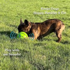 Hundespielzeug Ball interaktiv mit Ger&auml;uschen f&uuml;r Hunde Spiele