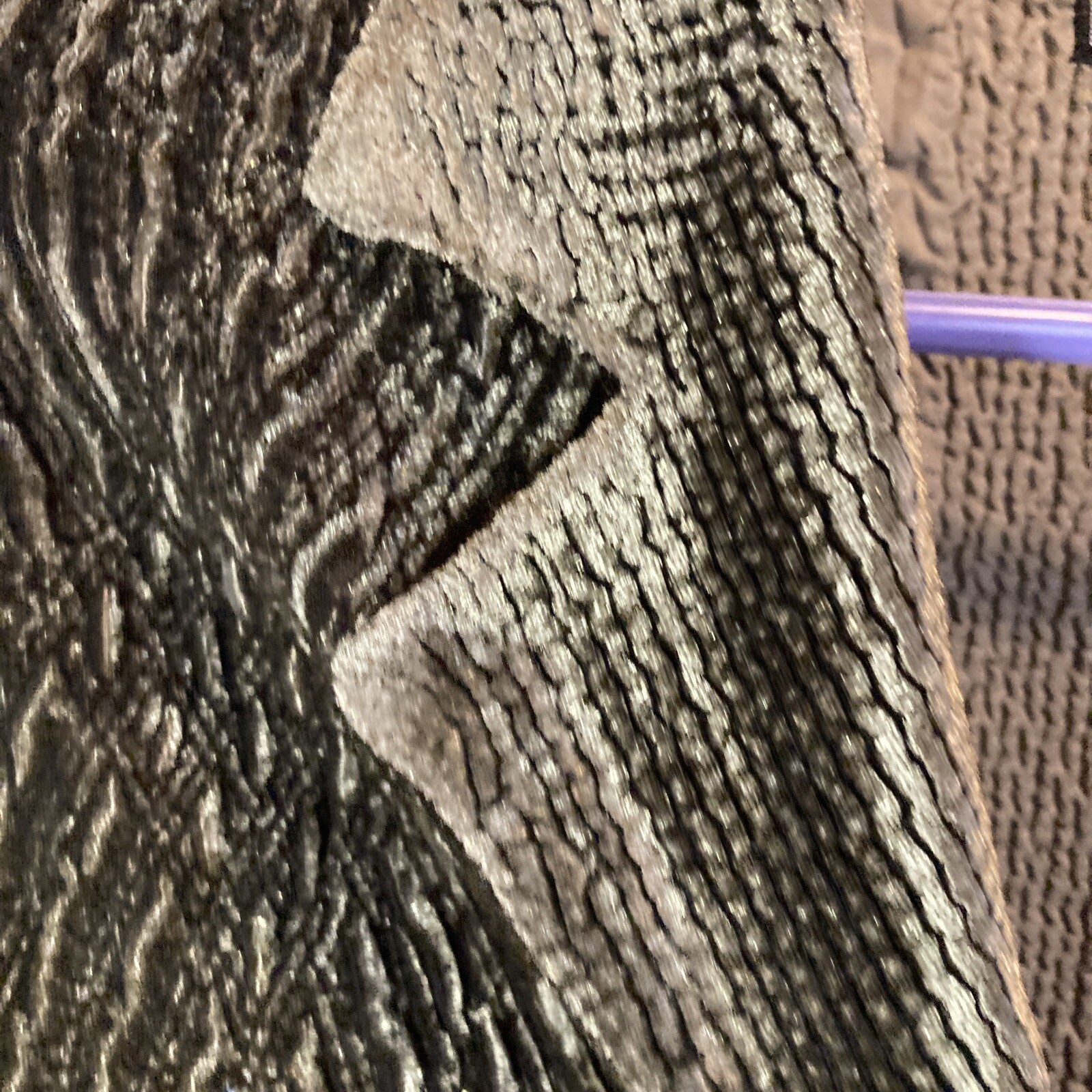 Bashi Brand Polyester Blazer Three Button Closure… - image 3