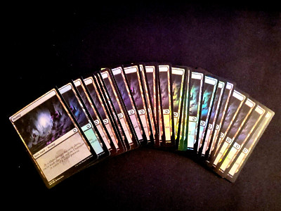 MTG H5 - NEW FOIL 25 SAME ART BASIC LAND AFR #270 PIOTR DURA MATCHED SWAMP