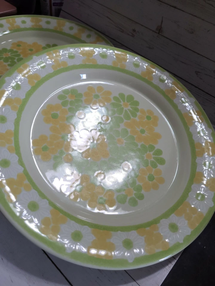 Juego de 2 platos de cena franciscanos "picnic" 10 3/4 pulgadas Foto 2 de 4